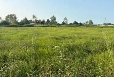 زمین کشاورزی ۳۰۰ متر در تنکابن
