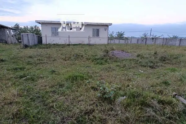 فروش زمین جاده ساحلی تکی تازه آباد روستای بلوته ۲۵۰ متر - تصویر 2