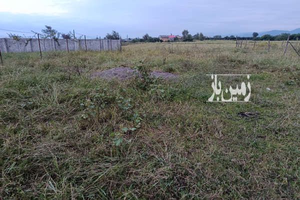 فروش زمین جاده ساحلی تکی تازه آباد روستای بلوته ۲۵۰ متر-4
