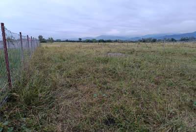 فروش زمین جاده ساحلی تکی تازه آباد روستای بلوته ۲۵۰ متر