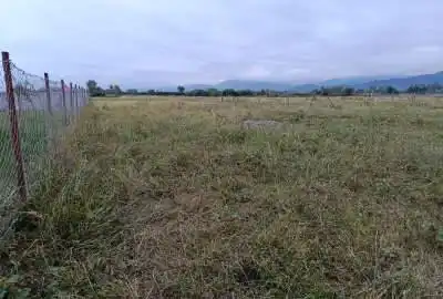 فروش زمین جاده ساحلی تکی تازه آباد روستای بلوته ۲۵۰ متر