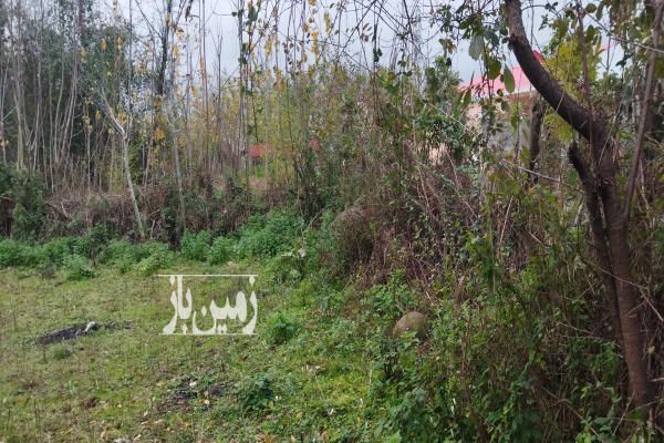 فروش زمین مسکونی خیابان سردار جنگل خیابان نظری ۲۰۶ متر-1