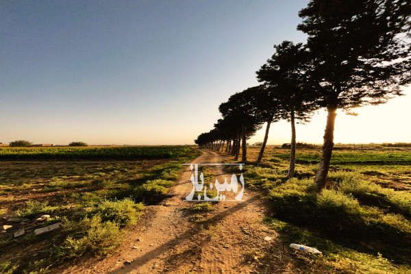 زمین کشاورزی باغی پلیس راه ۲۷۰۰۰ متر-2