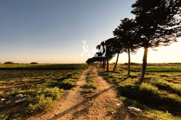 زمین کشاورزی باغی پلیس راه ۲۷۰۰۰ متر-4