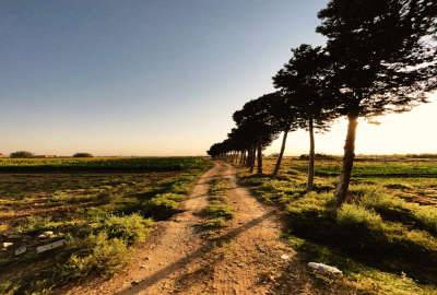 زمین کشاورزی باغی پلیس راه ۲۷۰۰۰ متر