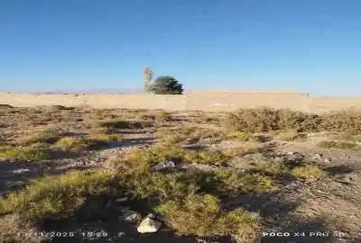 زمین بر بلوار صفار زاده پشت شهرک افضلی پور کرمان ۳۰۰ متر