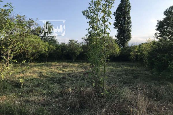 فروش ۹۰۰متر زمین بافت باغات-2