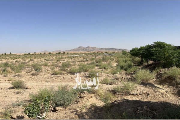 زمین کشاورزی با سند تک برگ ۱۰۰۰ متر اصفهان شاهین شهر-2