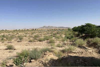زمین کشاورزی با سند تک برگ ۱۰۰۰ متر اصفهان شاهین شهر