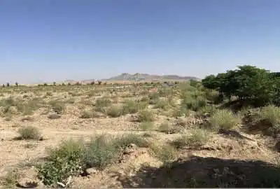زمین کشاورزی با سند تک برگ ۱۰۰۰ متر اصفهان شاهین شهر