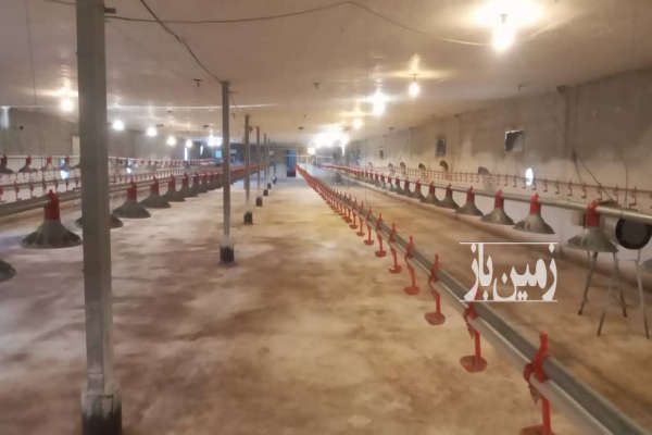 فروش زمین مرغداری در حومه رشت ۳۵۰۰۰ متر-2