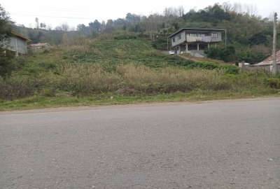 فروش زمین باغ مسکونی ارتفاعات لنگرود ۲۵۰۰ متر