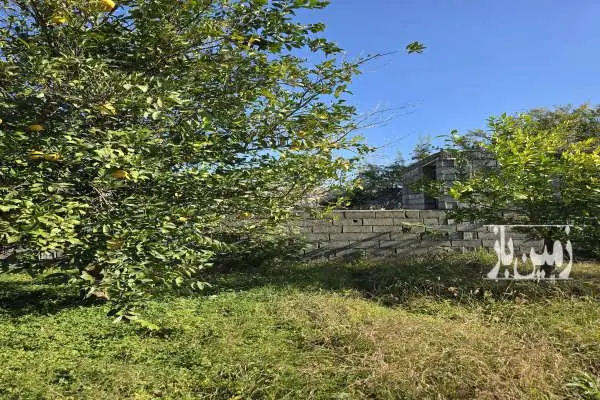 زمین داخل بافت بندپی شرقی روستای صورت ۸۰۰ متر - تصویر 3