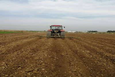 فروش زمین کشاورزی ۵۰ هکتار رامهرمز