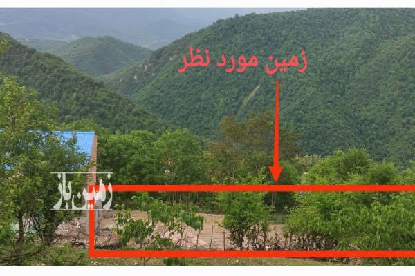 زمین داخل بافت با ویوی عالی در روستای مسکوپا ۱۹۲ متر-4