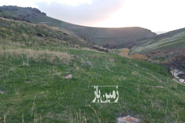 زمین کشاورزی روبروی سیداباد ۲۰۰۰۰ متر-4