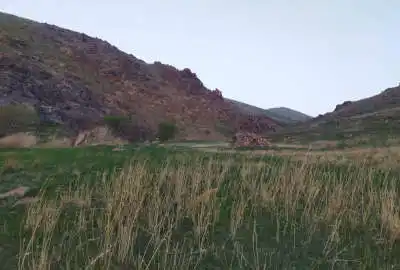 زمین کشاورزی روبروی سیداباد ۲۰۰۰۰ متر