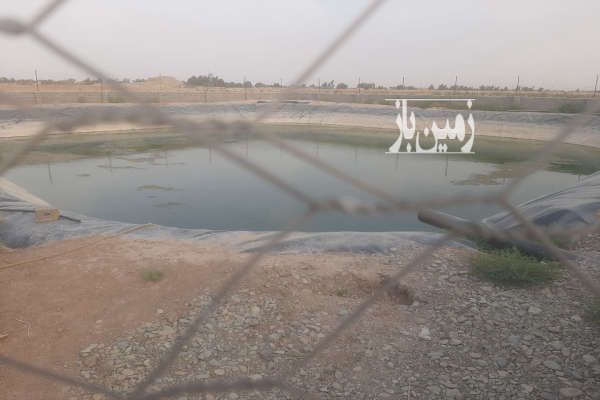 زمین کشاورزی با باغ پسته ۵ ساله ۷۲۰۰۰ متر-2