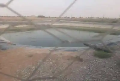 زمین کشاورزی با باغ پسته ۵ ساله ۷۲۰۰۰ متر