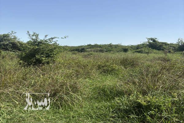 فروش زمین استثنایی ۷۰۰ متری سند دار با کاربری مسکونی-4