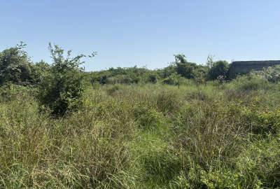 فروش زمین استثنایی ۷۰۰ متری سند دار با کاربری مسکونی