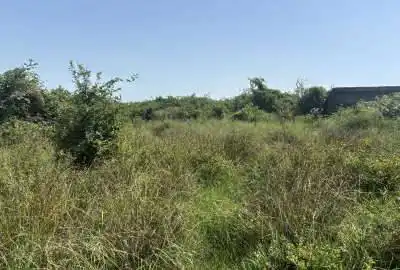 فروش زمین استثنایی ۷۰۰ متری سند دار با کاربری مسکونی