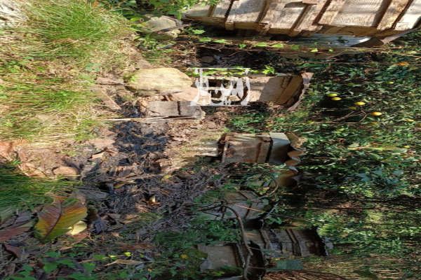 فروش زمین ۴۰۰ متر رانکوه روستای جیرگوابر-2