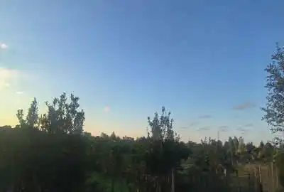باغ پرتقال نوشهر روستای ابندانک ۵۸۵ متر