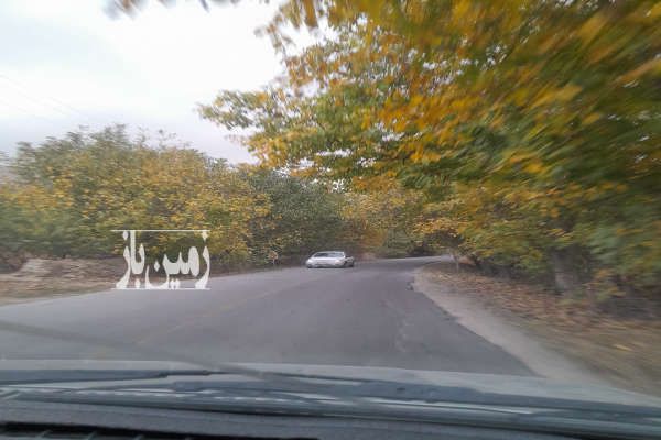 باغ انگور کنار جاده اصلی روستای جوزک ۸۰۰ متر-1