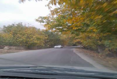 باغ انگور کنار جاده اصلی روستای جوزک ۸۰۰ متر