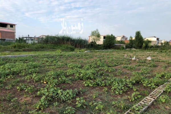 فروش زمین مسکونی ۲۷۳ متر شهرک عباس آباد-1