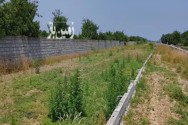 زمین باغی بابلسر روستای تازه آباد ۸۵ متر - تصویر 2