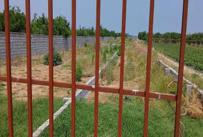 زمین باغی بابلسر روستای تازه آباد ۸۵ متر
