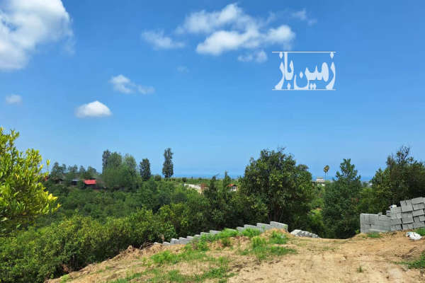 زمین باغی مرکبات اماده ساخت با ویویی بی نظیر ۱۰۵۶ متر-4