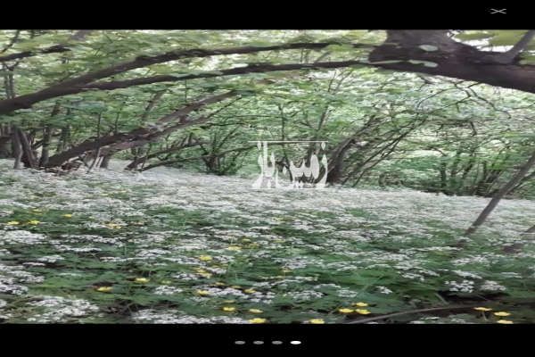 باغ فندق اشکورات ارکم ۵۰۰۰ متر-1