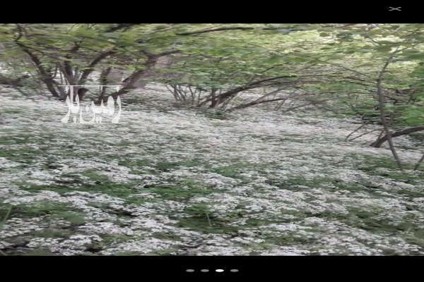 باغ فندق اشکورات ارکم ۵۰۰۰ متر-2