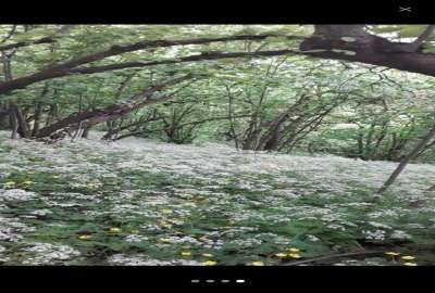 باغ فندق اشکورات ارکم ۵۰۰۰ متر