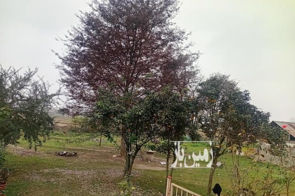 زمین هزار متر فومن روستای خشکنودهان-1