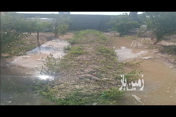 فروش باغچه ۴۰۰ متر اتوبان تهران ساوه ابتدای جاده شهریار-2
