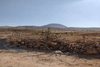 زمین ۲۷۰ متر در ده ترکمن روستای همه سین