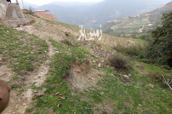 فروش زمین با ویو جنکل چلاو روستای پاشاکلا ۴۵۰ متر-2