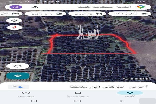 باغ پرتغال تامسون ۲۷ساله ۴۵۰۰ متر گزشرقی جاده قدیم-2