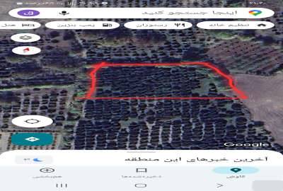 باغ پرتغال تامسون ۲۷ساله ۴۵۰۰ متر گزشرقی جاده قدیم