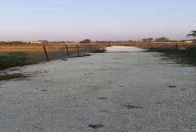 زمین شهرکی چمستان منطقه سرسبز گیلانده ۱۴۵ متر