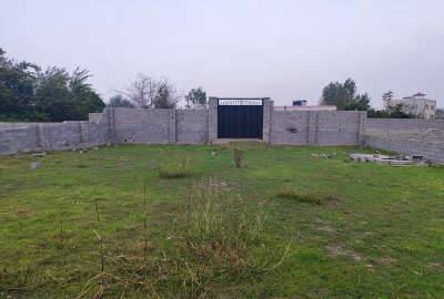 فروش زمین ۲۹۰ متریِ آمل روستا بورمحله