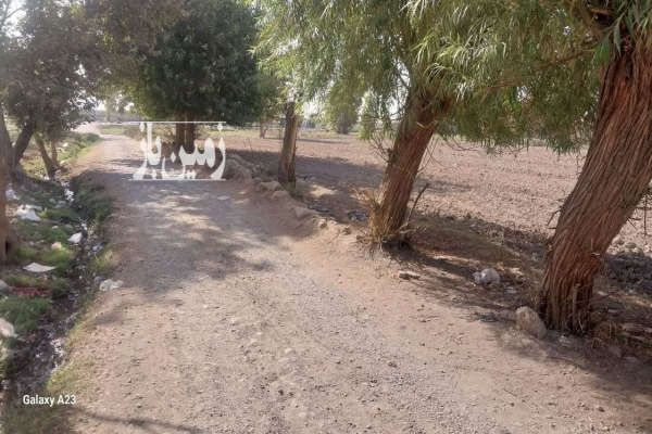 زمین زراعی دو بر ورامین جنب بلوار امیر کبیر ۳۰۰۰ متر-2