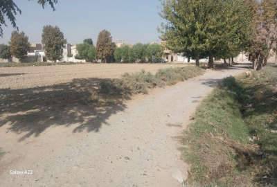 زمین زراعی دو بر ورامین جنب بلوار امیر کبیر ۳۰۰۰ متر