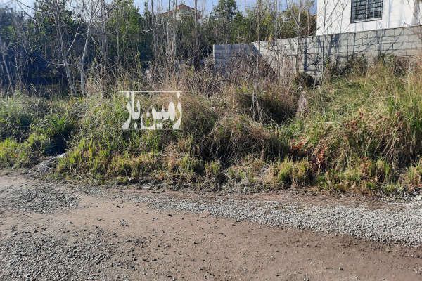 زمین ۲۳۶ متر مشهدی سرای محمد حسین آباد-2