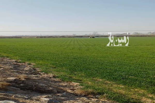 یک هکتار زمین کشاورزی در شریف آباد روستای آفرین-1