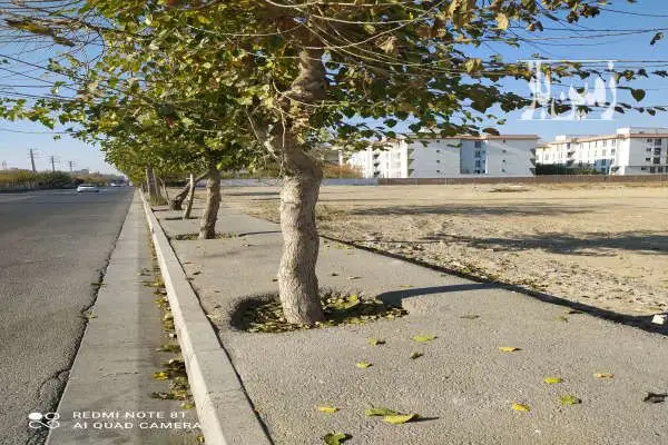 زمین مهرشهر خیابان سوم شرقی ۳۷۰۰ متر - تصویر 2